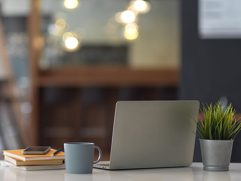 The Bay Immobilier / l'agence